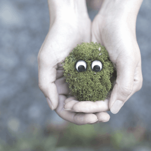 person holding a clump of moss with eyes symbolising environmental impacts